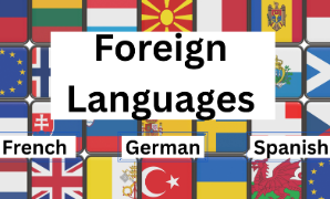 Alwin Foreign Language Learning Program (French  German  Spanish English)